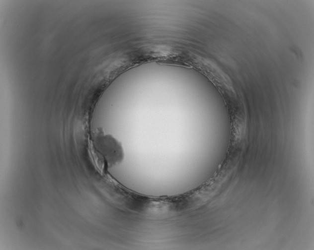 X0000112920376200908241036