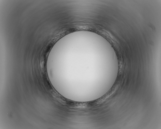 X0000112920377200908241036