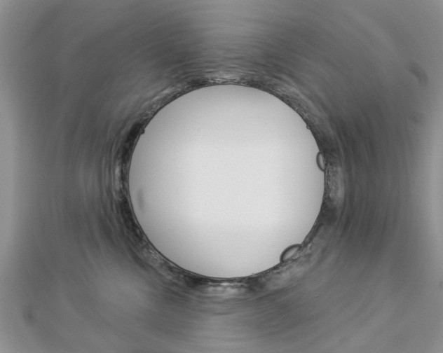 X0000112920378200908241036