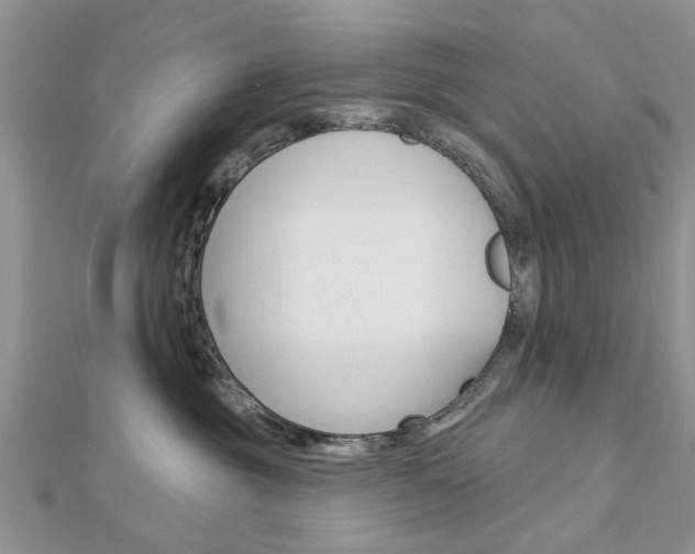 X0000112920381200908241036