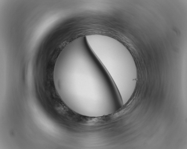 X0000112920382200908241036