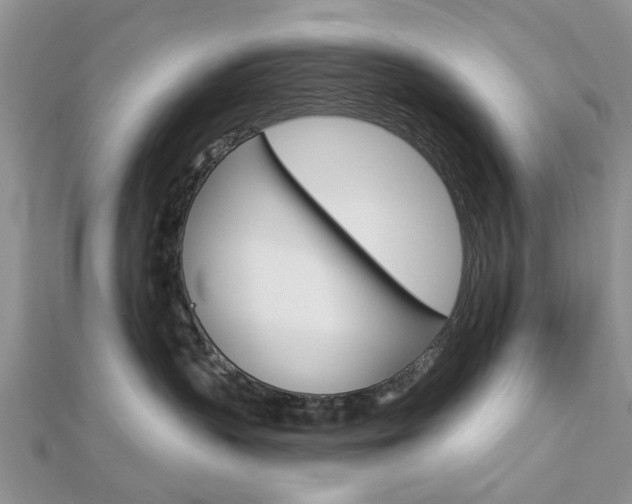 X0000112920383200908241036