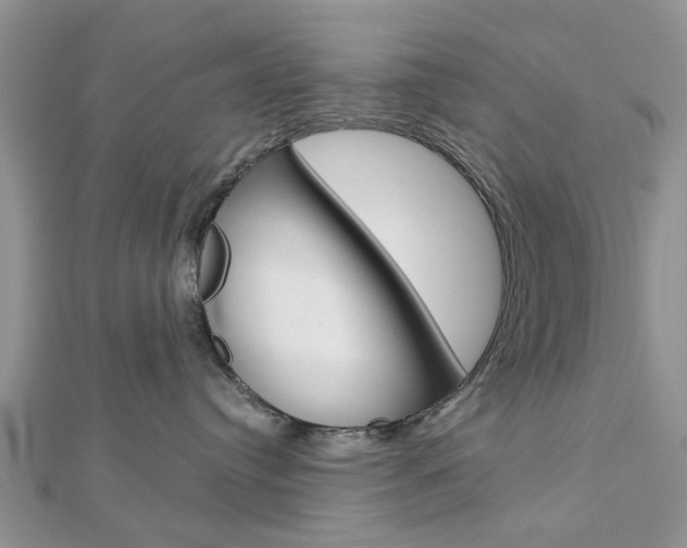 X0000112920384200908241036