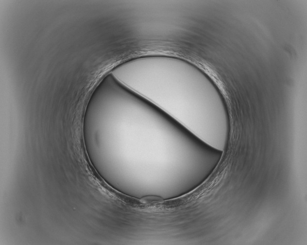 X0000112920385200908241036
