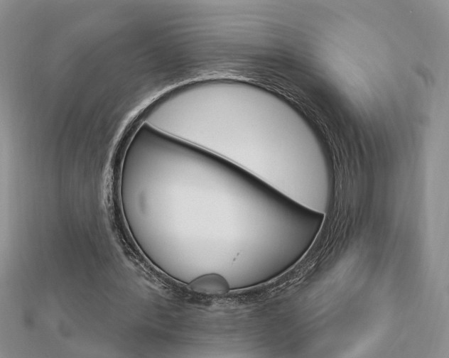 X0000112920388200908241036