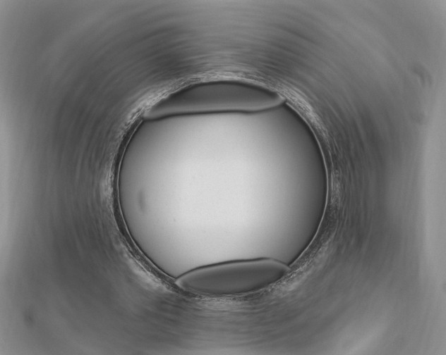 X0000112920389200908241036