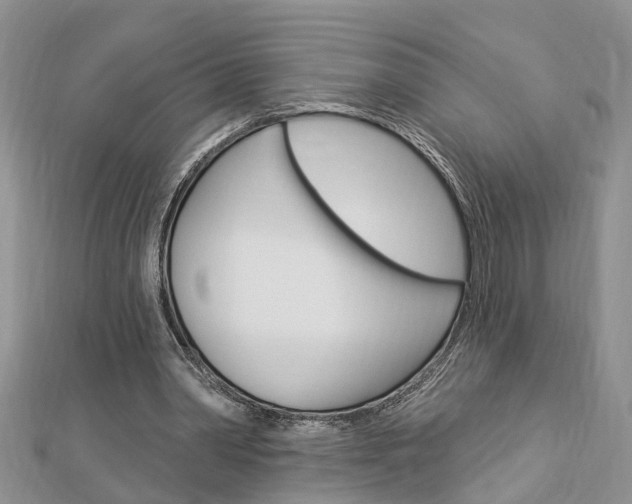 X0000112920390200908241036