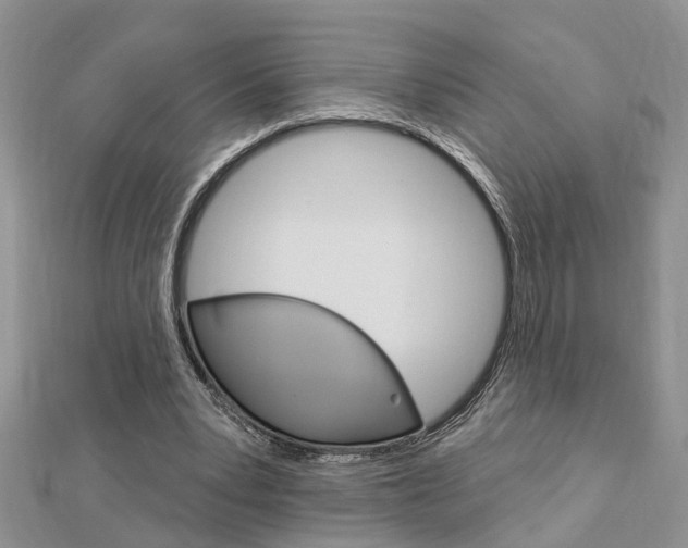 X0000112920391200908241036