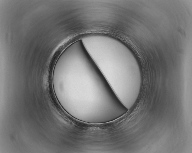 X0000112920392200908241036