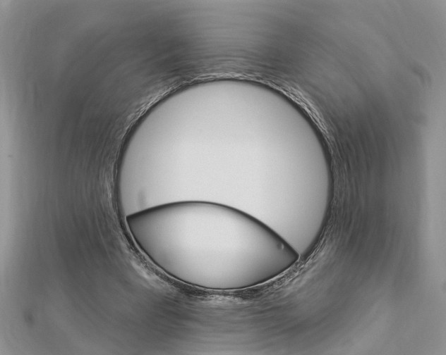 X0000112920393200908241036