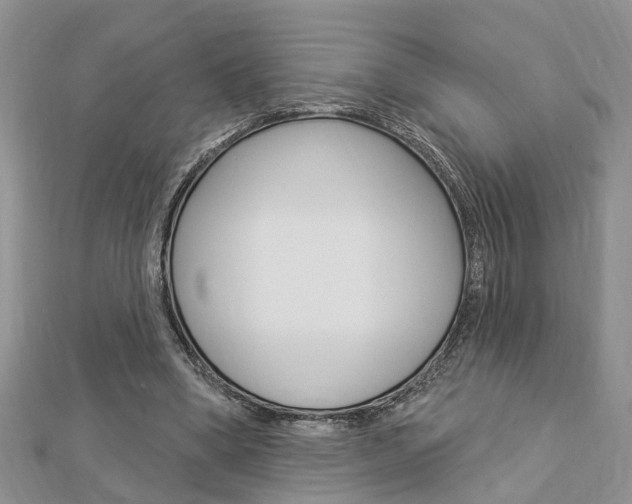 X0000112920394200908241036