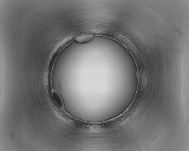 X0000112920395200908241036