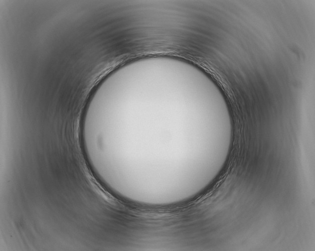 X0000112920397200908241036