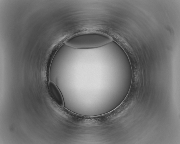 X0000112920399200908241036