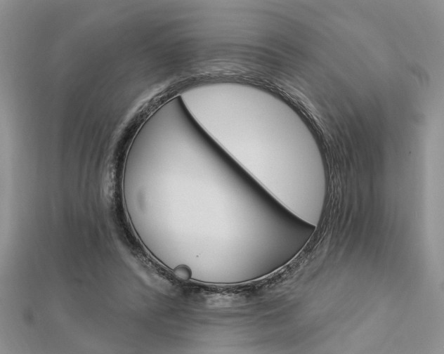 X0000112920400200908241036