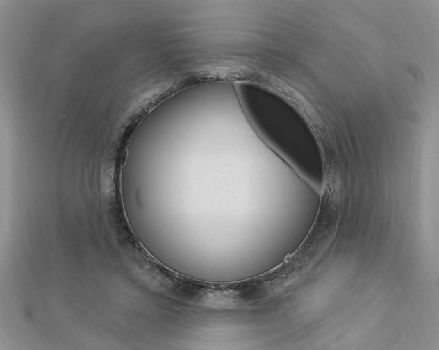 X0000112920403200908241035