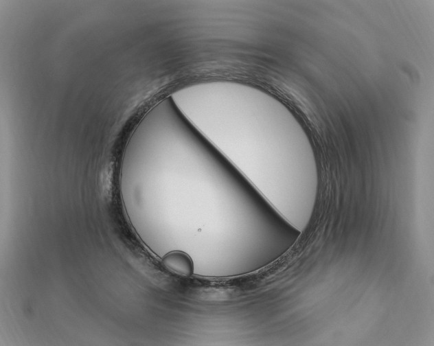 X0000112920404200908241035