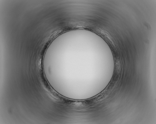 X0000112920406200908241035