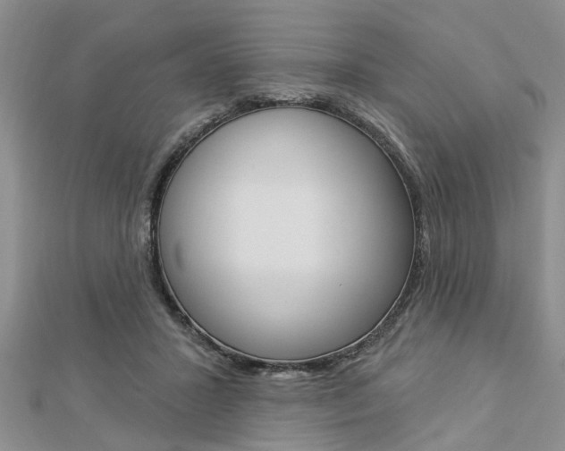 X0000112920407200908241035