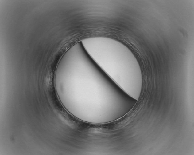 X0000112920408200908241035