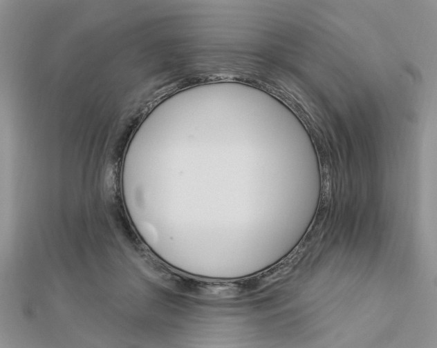 X0000112920410200908241035