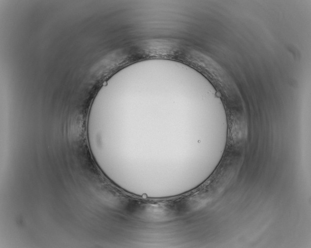 X0000112920411200908241035