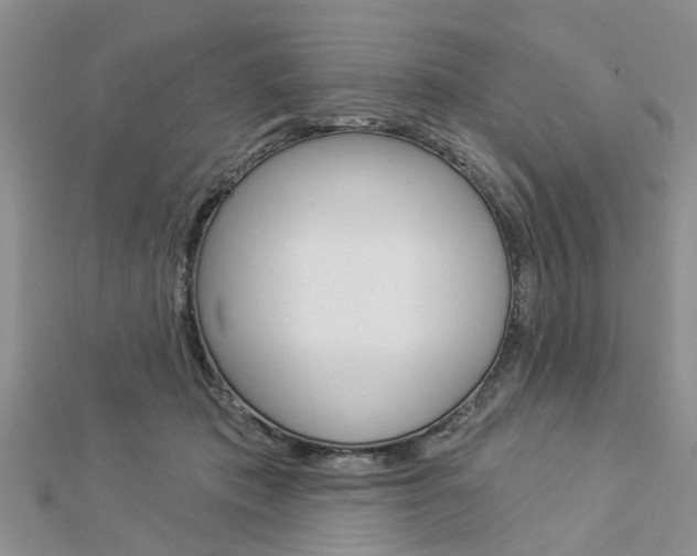 X0000112920413200908241035