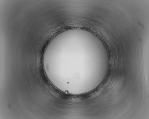 X0000112920416200908241035