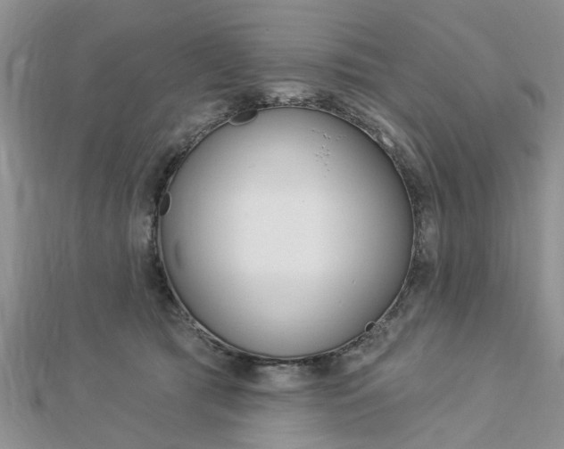 X0000112920417200908241035