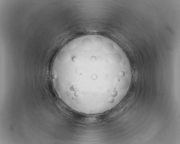 X0000112920418200908241035