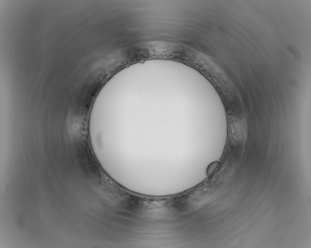X0000112920419200908241035