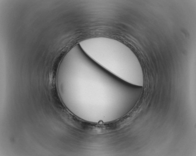 X0000112920420200908241035
