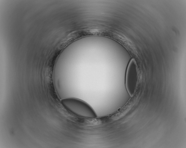 X0000112920421200908241035