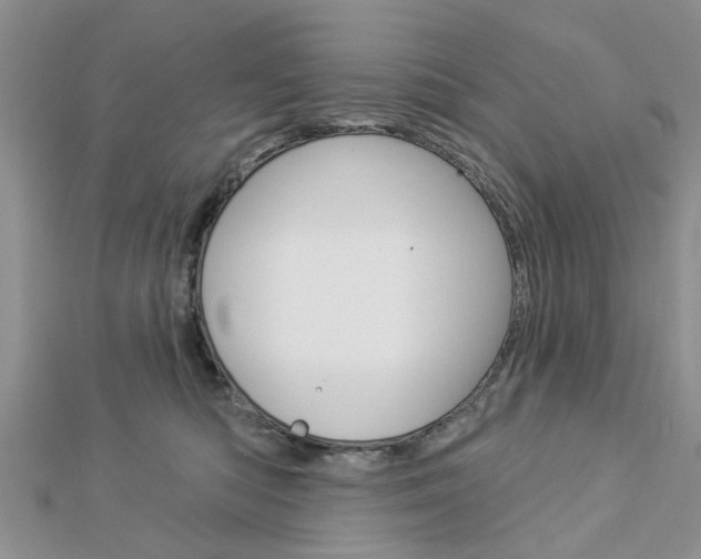 X0000112920422200908241035