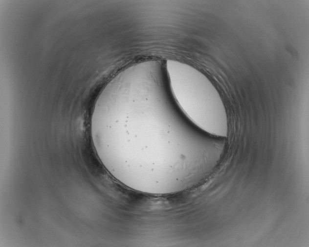 X0000112920424200908241035