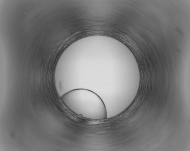 X0000112920425200908241035
