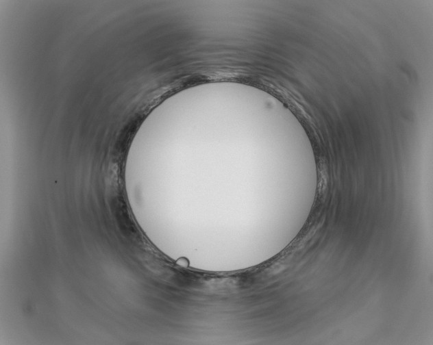 X0000112920426200908241035