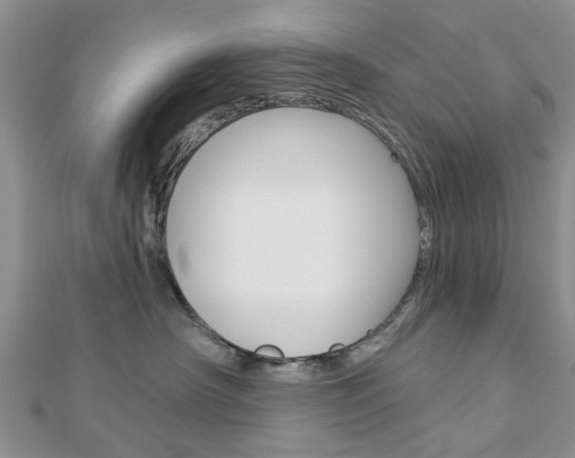 X0000112920430200908241035