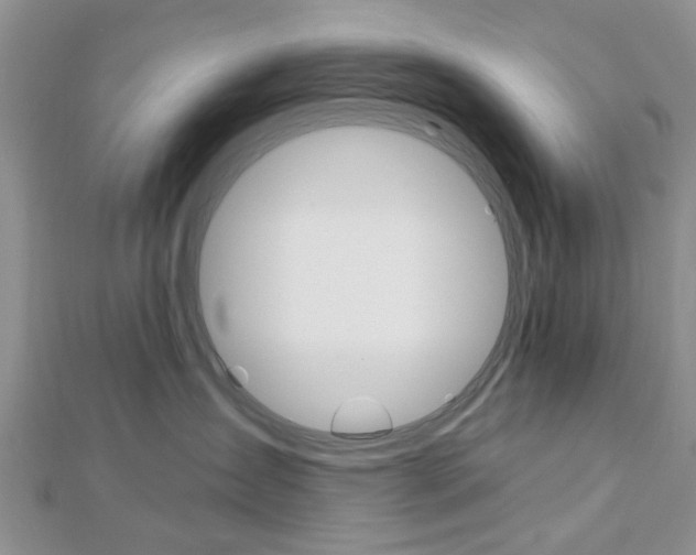 X0000112920431200908241035