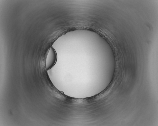 X0000112920432200908241035