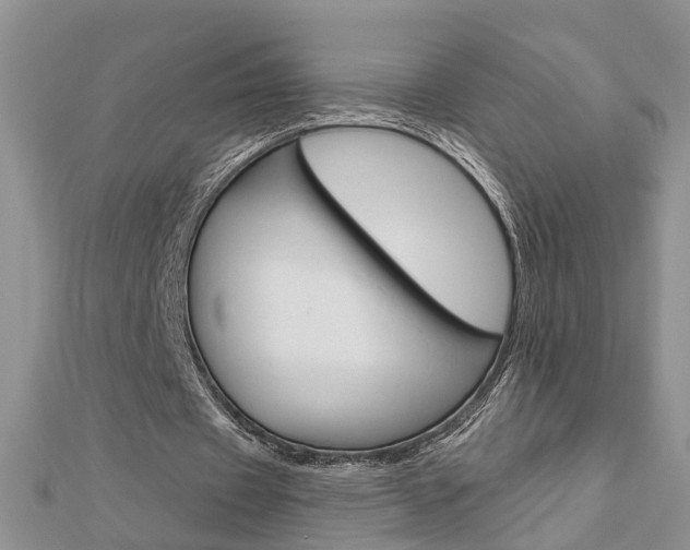X0000112920433200908241034