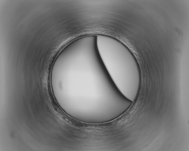 X0000112920434200908241034