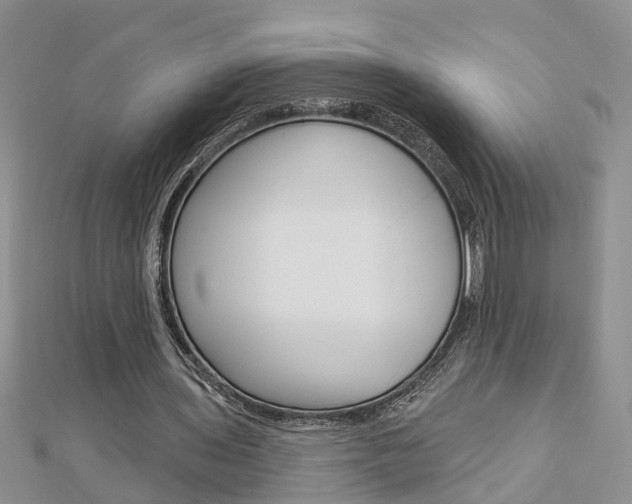 X0000112920435200908241034