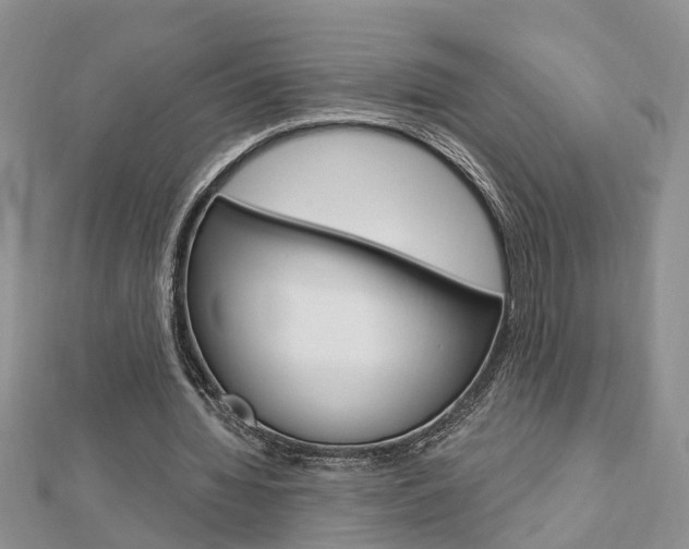 X0000112920436200908241034