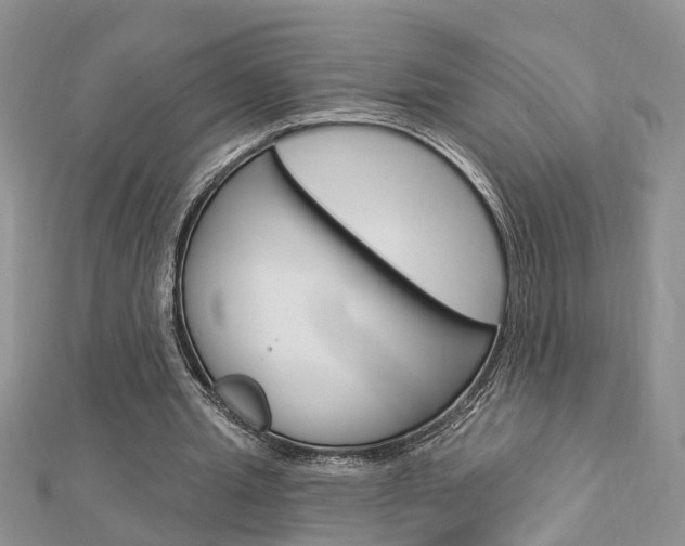 X0000112920437200908241034