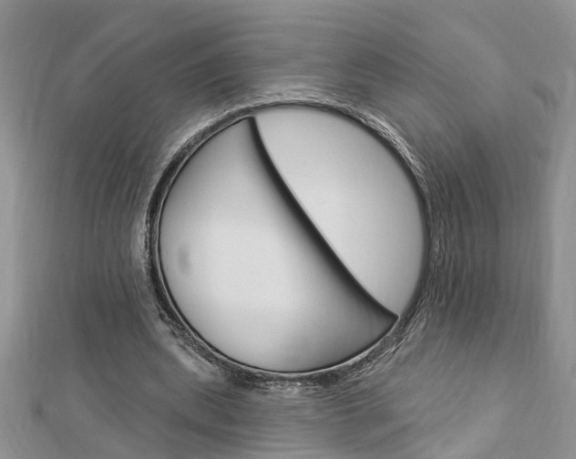 X0000112920439200908241034