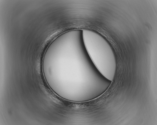 X0000112920442200908241034