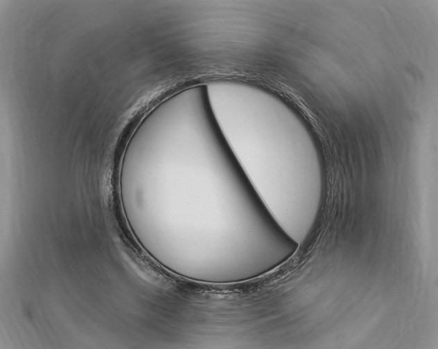 X0000112920443200908241034