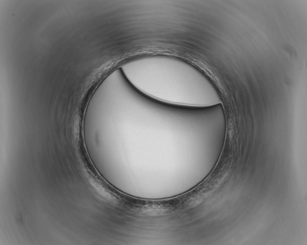 X0000112920445200908241034