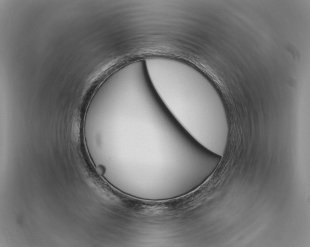 X0000112920446200908241034